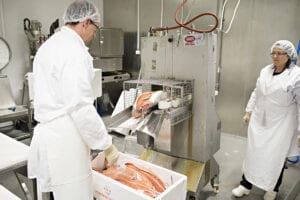 Selv om all fisk mister væske, gjør laksenæringa det som skal til for at fisken skal holde vekta best mulig under lagring. Forskerne forbereder forsøk med laks fra Marine Harvest.