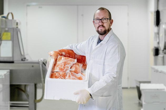 Bildet viser forsker Bjørn Tore Rotabakk med en kasse superkjølt, vakuumpakket laksefilet.