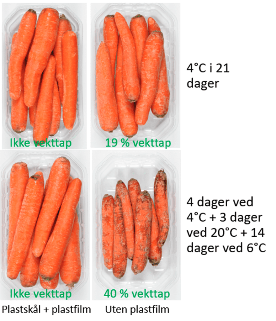 Storage Life of Vegetables