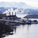 Portrett av  Forskere lager sunt laksefôr av forurensende CO2 