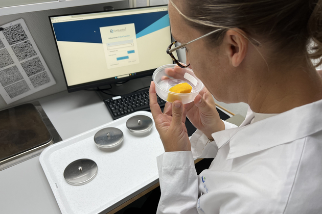 En av Nofimas smaksdommere vurderer en bit gresskar.