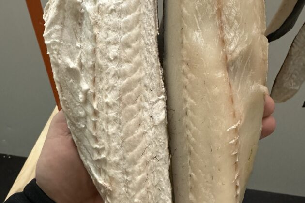 Tørrfisk med dårlig kvalitet til venstre og god kvalitet til høyre.