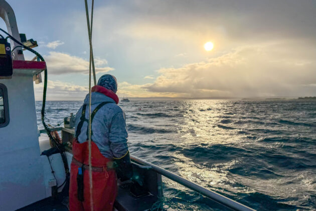 Fiske på Varangerfjorden